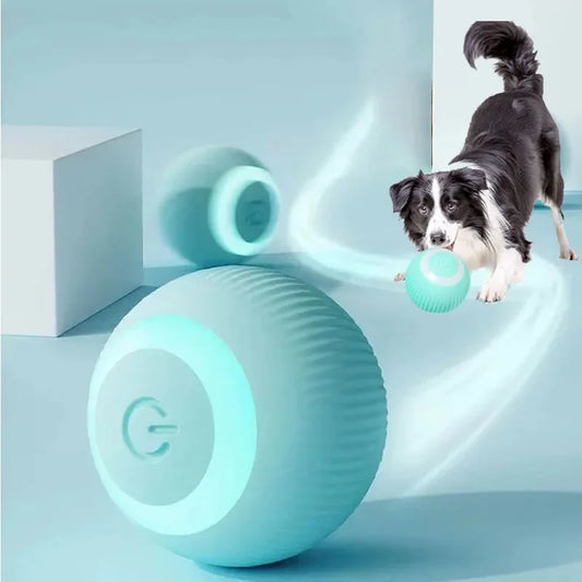 MYPUPPY Smart Dog Ball