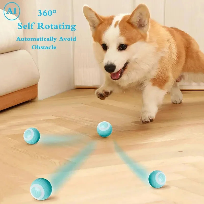 MYPUPPY Smart Dog Ball