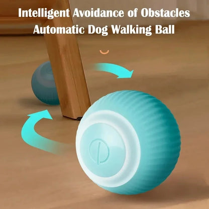 MYPUPPY Smart Dog Ball